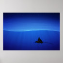 Suche nach gepunktete poster Adler