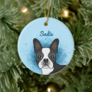 Suche nach boston ornamente Niedlich