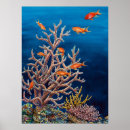 Suche nach coral reef poster Nature