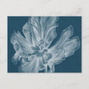 Suche nach tulip postkarten Grafisch