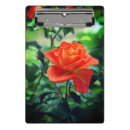 Suche nach natur klemmbrett Grün