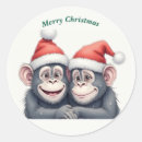 Suche nach weihnachtsaffe Elf