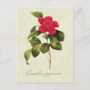 Suche nach antikes botanisches poster Rot