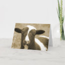 Suche nach sepia karten Fotografie