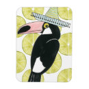Suche nach toucan magnete Toukan