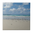 Suche nach sandstrand fliesen Meer