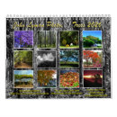 Suche nach bäume kalender Fotos