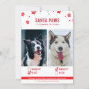 Suche nach zwei hunde karten Haustiere