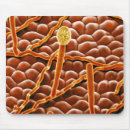 Suche nach falsche farbe mousepads Biologie