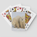 Suche nach ursus Eis
