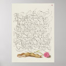 Suche nach vintage pflanze poster Obst