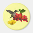 Suche nach kolibris magnete Hummer