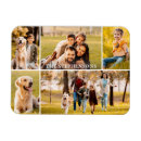 Suche nach gestalt magnete Family