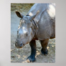 Suche nach rhino poster Foto