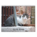 Suche nach miezekatze kalender Haustiere