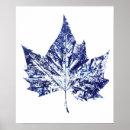 Suche nach ahornblatt poster Blätter