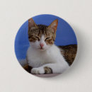 Suche nach katzenknopf buttons Niedlich