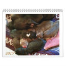 Suche nach pitbulls kalender Welpen