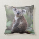 Suche nach der koala kissen Tierkissen
