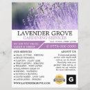 Suche nach lavendel flyer Customer