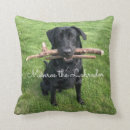 Suche nach labrador retriever kissen Lustig