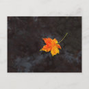 Suche nach haiku postkarten Herbst