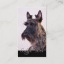 Suche nach schotten visitenkarten Hund