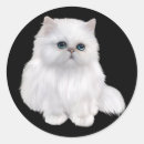Suche nach persische katze aufkleber Haustier