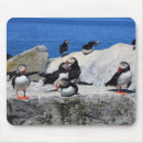 Suche nach puffin mousepads Ozean