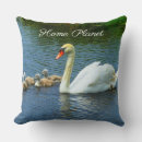 Suche nach swan kissen See