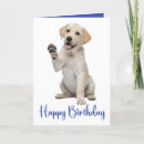 Suche nach gelbes labrador retriever karten Welpen