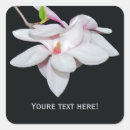 Suche nach magnolien aufkleber Blume