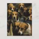 Suche nach die jagdhunde postkarten Haustiere