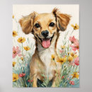 Suche nach niedlicher chihuahua poster Dogs