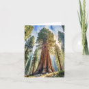 Suche nach sequoia karten Nationalpark