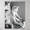 Suche nach süße katze poster Weiß