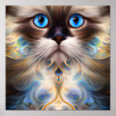 Suche nach babykatze poster Niedliche katze