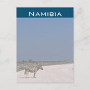Suche nach namibia postkarten Safari