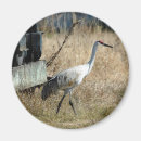 Suche nach kran magnete Tiere