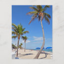 Suche nach sonnenschirm postkarten Palmen