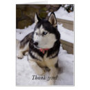 Suche nach siberian husky karten Snow