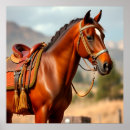 Suche nach sattel poster Pferd