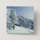 Suche nach schnee bedeckte baum Winter