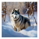 Suche nach alaskan malamute poster Weihnachten