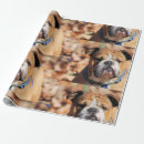 Suche nach papier falten geschenkpapier Hund