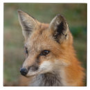 Suche nach portrait fliesen Natur