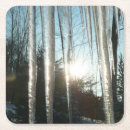 Suche nach schneesturm untersetzer Natur