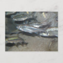 Suche nach kleine fische postkarten Tier