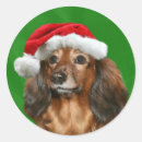 Suche nach weiner hund aufkleber Weihnachten