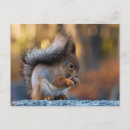 Suche nach buschig postkarten Niedlich